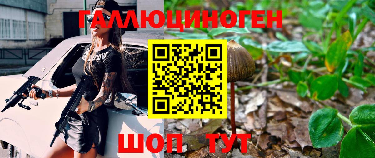 Галлюциногенные грибы Psilocybine cubensis  Вход с VPN  Волгоград 